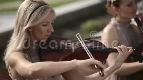 音乐四重奏小提琴演奏对抗天空中弹视频的预览图