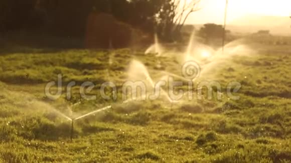 洒水系统浇水草坪视频的预览图