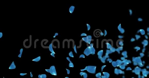 飞蓝玫瑰兰花花瓣占位符下落阿尔法哑光环4k视频的预览图