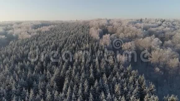 乡村的冬季景观视频的预览图