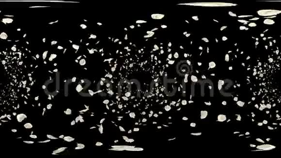 360VR飞行浪漫白玫瑰花瓣落阿尔法通道循环视频的预览图