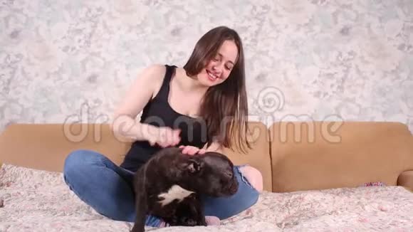 一个漂亮的小女孩坐着抱着一只法国斗牛犬的许多小狗视频的预览图