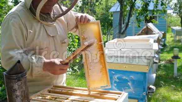 养蜂人养蜂人正在养蜂场和蜜蜂一起工作视频的预览图