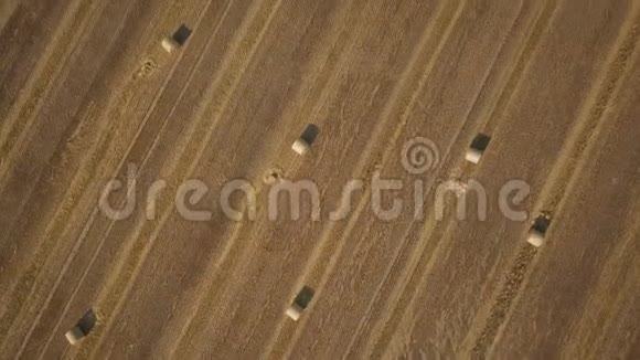 田里的干草堆视频的预览图