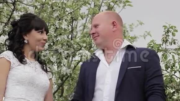 新郎新娘在苹果园浪漫漫步视频的预览图