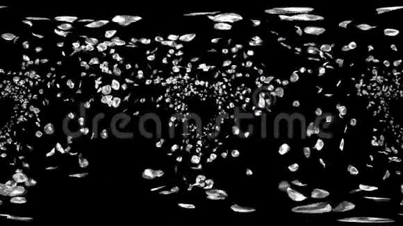 360VR飞行浪漫银花花瓣坠落阿尔法通道循环视频的预览图