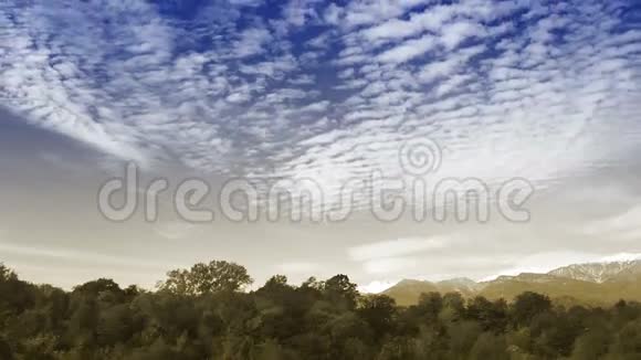秋日森林中的浮云视频的预览图
