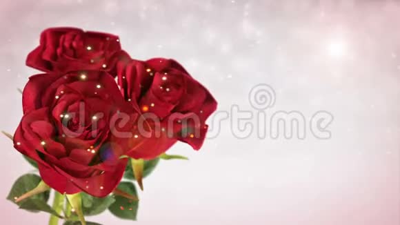 旋转红玫瑰婚礼生日圣戊丁主题3D渲染无缝回路视频的预览图