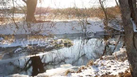 林溪流草青草大自然深冬美丽的风景干燥的树枝视频的预览图