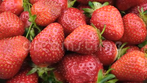 甜的成熟草莓视频的预览图