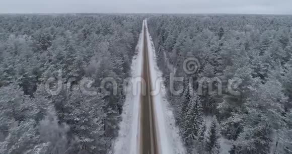 林中的冬道视频的预览图