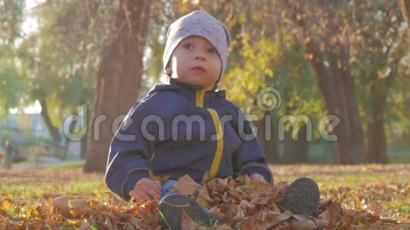 小男孩坐在草地上落叶在公园里在明亮和阳光明媚的初秋黄叶视频的预览图