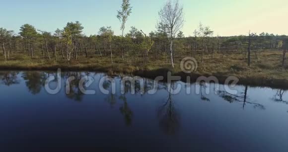 鸟瞰湿地沼泽美丽的自然景观视频的预览图