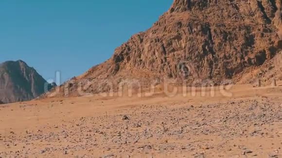 埃及的沙漠埃及山脉和岩石的沙漠全景视频的预览图