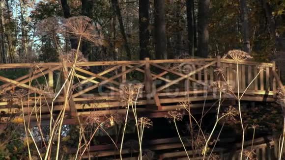 秋色自然观用木桥视频的预览图