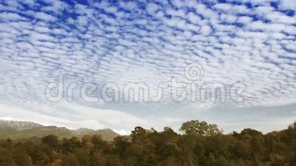 秋日森林中的浮云视频的预览图