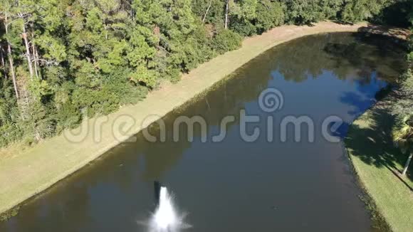 蓝色池塘和冬树的鸟瞰图视频的预览图