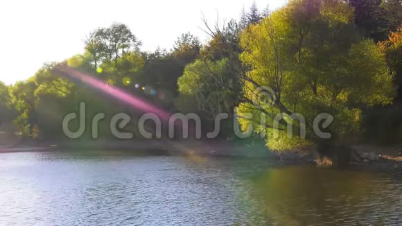 大自然中的湖水和树视频的预览图