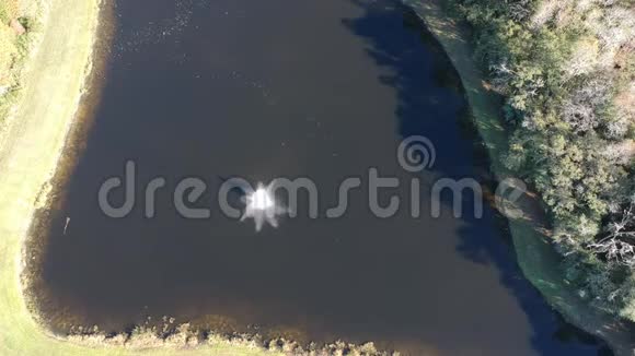 蓝色池塘和冬树的鸟瞰图视频的预览图