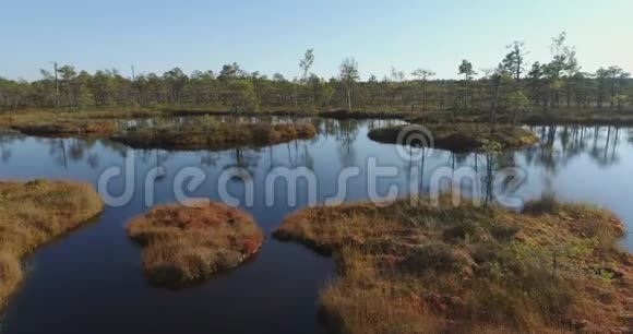 鸟瞰湿地沼泽美丽的自然景观视频的预览图