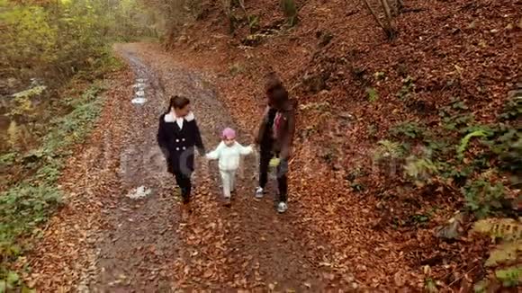 一位年轻的母亲带着她的两个孩子走过秋天的森林他们沿着森林小径走他们很开心视频的预览图