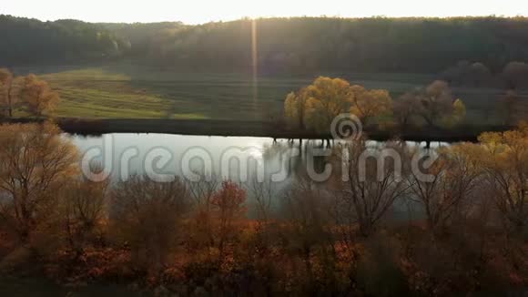 阳光明媚的秋日在自然公园空中拍摄视频的预览图