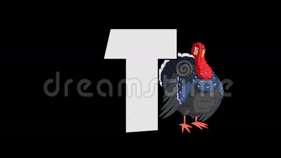 字母T和土耳其背景视频的预览图