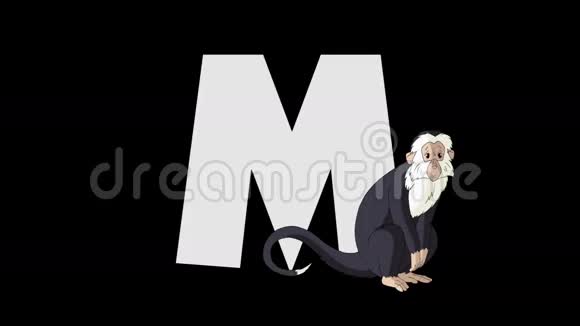 字母M和猴子前景视频的预览图