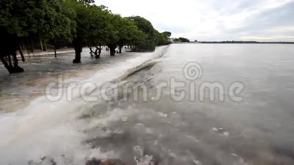 洪水水流过马路树线背景视频的预览图