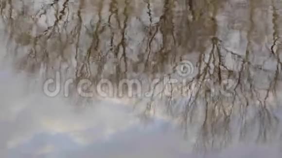 河中天空和树木的倒影视频的预览图