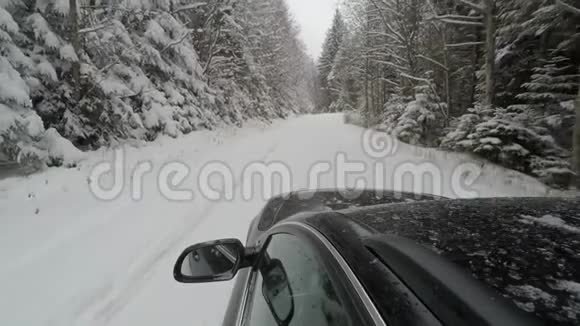 冬季公路穿过森林视频的预览图