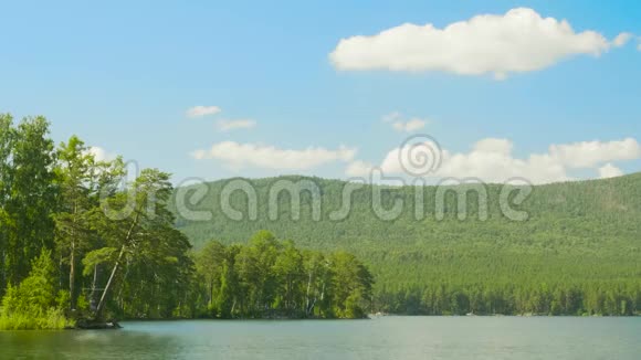 有松树的森林湖里的蓝水美丽的湖泊和绿色森林视频的预览图