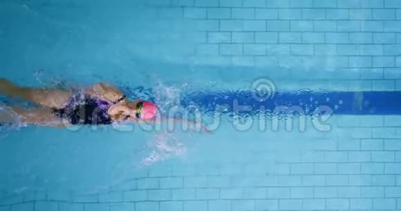 游泳池游泳训练视频的预览图