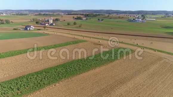 在一个晴朗的秋日收获玉米田和卷玉米柱和阿米什农场牛排视频的预览图