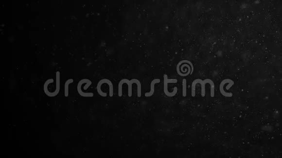 黑色背景下美丽的漂浮有机尘颗粒在缓慢运动中动态风循环三维动画视频的预览图
