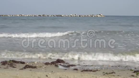 亚得里亚海冬季海滩视频的预览图