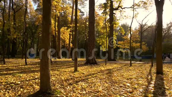 秋天公园的背景视频的预览图