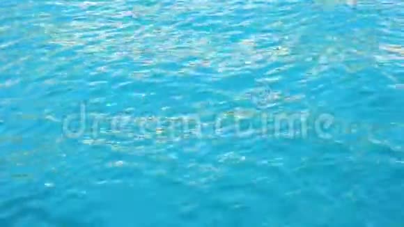 洁净海水视频的预览图