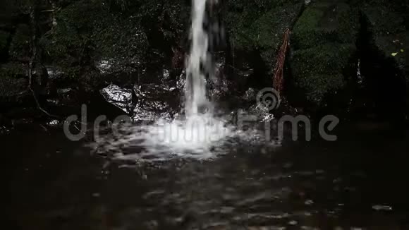 有绿色苔藓的瀑布和石头的特写视频的预览图