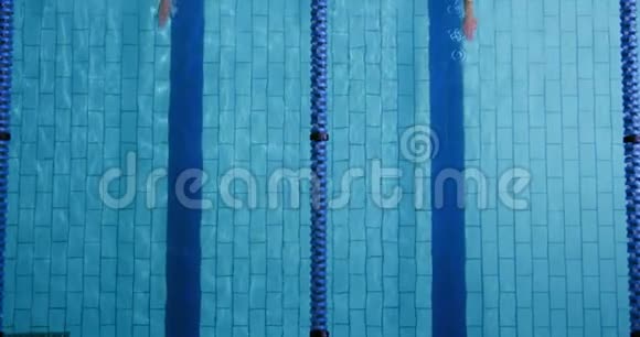 游泳运动员在游泳池里训练视频的预览图