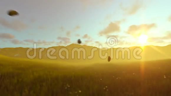 一个小男孩在金色的时刻带着飞机玩具在绿色的草地上视频的预览图
