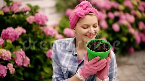绣球花春天和夏天快乐的女人花匠护花和浇水土壤和肥料妇女视频的预览图