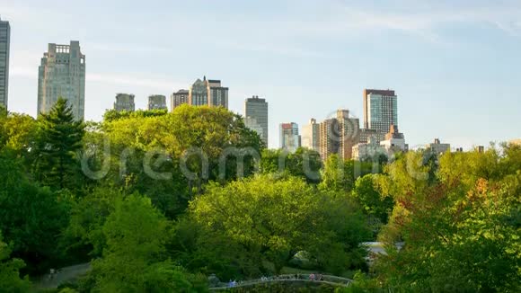 中心公园阳光明媚的一天距纽约市4k视频的预览图