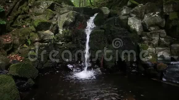 有绿色苔藓的瀑布和石头的特写视频的预览图