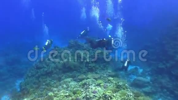 一群潜水员游过珊瑚礁视频的预览图