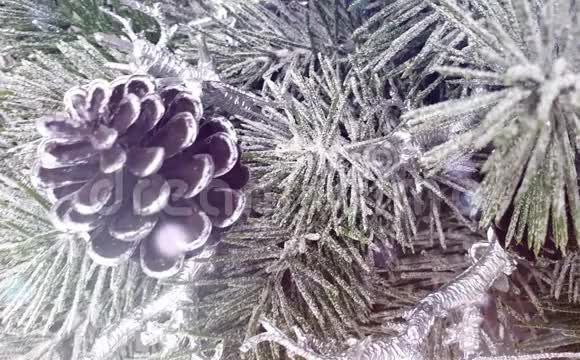 松果节冬季装饰视频的预览图