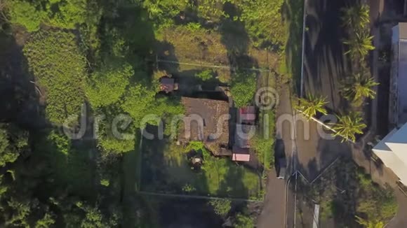 树木和房子拍摄视频的预览图