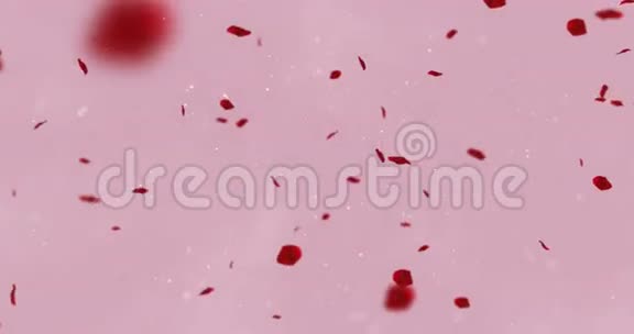 红艳艳的花瓣在粉红色的背景下飞舞颗粒流动爱和情人节节日的喜庆活动视频的预览图