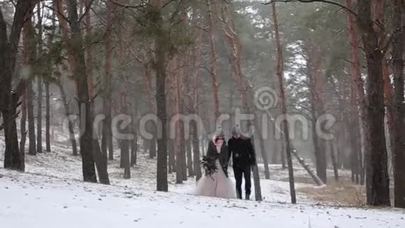 户外冬林拍摄的年轻新婚夫妇在雪天松林散步和玩得开心牵手视频的预览图