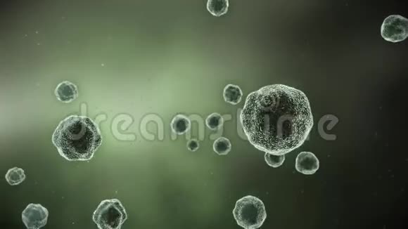 显微镜下细菌的抽象动画视频的预览图